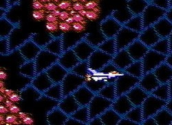 Life Force (3DS eShop / NES)